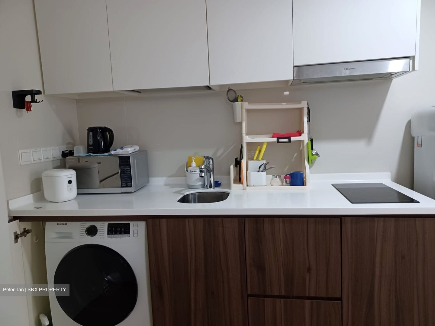Riversound Residence (D19), Condominium #409880311